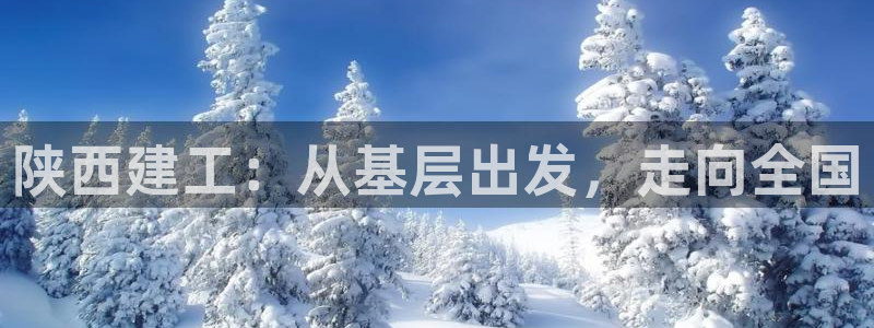 和记电讯APP官网充值