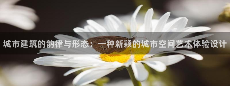 和记大合城dk2官网