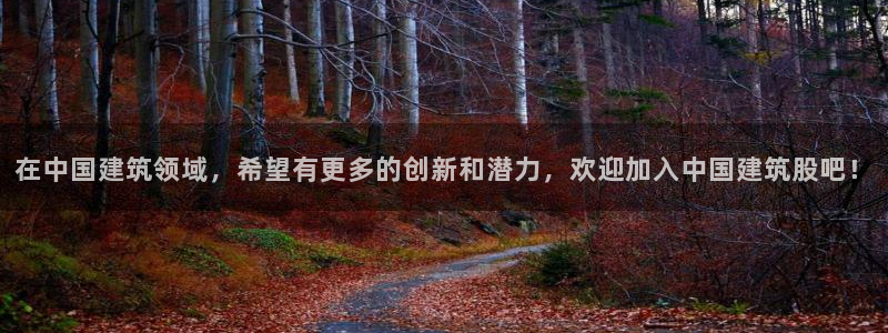 和记国际电讯官网