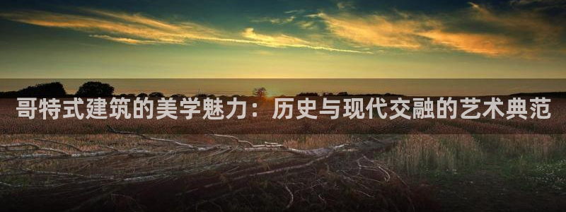 和记国际有限公司官网