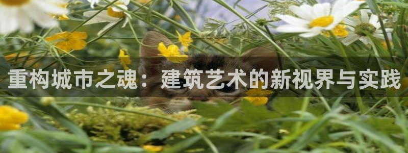 和记h1888怡情官网