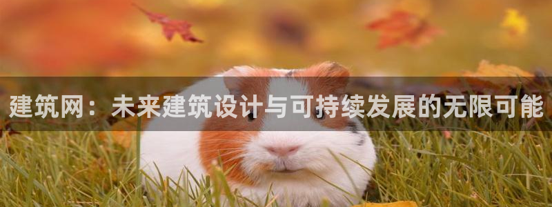 和记国际电讯官网：建筑网：未来建筑设计与可持续发展的无限可能