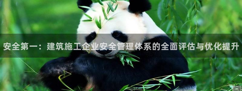 印尼和记官网：安全第一：建筑施工企业安全管理体系的全面评估与优化提升
