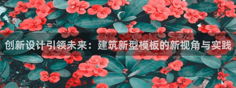 和记官网亚洲唯一官网：创新设计引领未来：建筑新型模板的新视角与实践