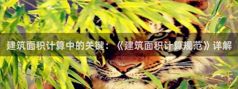 和记家家加盟官网：建筑面积计算中的关键：《建筑面积计算规范》详解