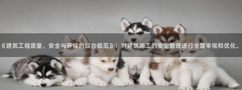 香港3和记官网：《建筑工程质量、安全与环保的综合规范》：对建筑施工的安全管理进行全面审视和优化。
