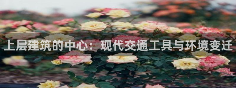 和帆记加盟官网：上层建筑的中心：现代交通工具与环境变迁