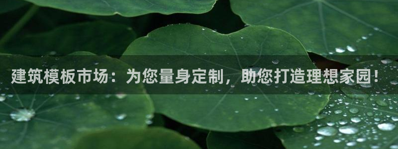 和元李记官网