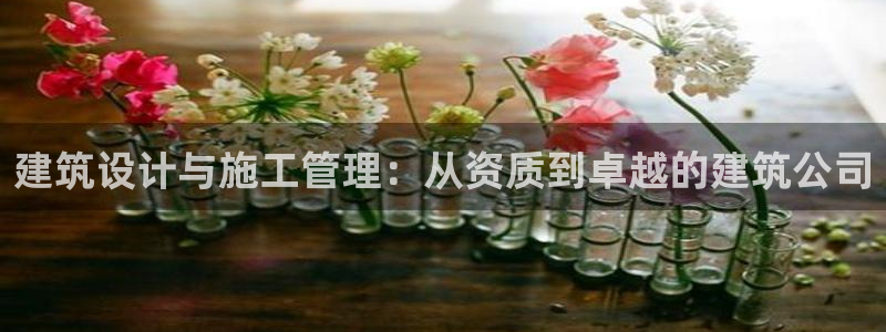 成都和记公司官网