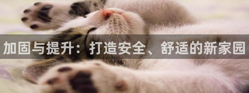 和记官网手机版下载