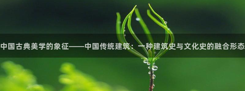 和记官网手机新版app下载