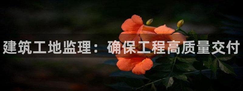 澳门和记官网娱乐场