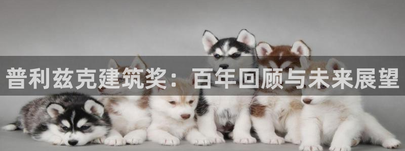 和记官网app是谁的