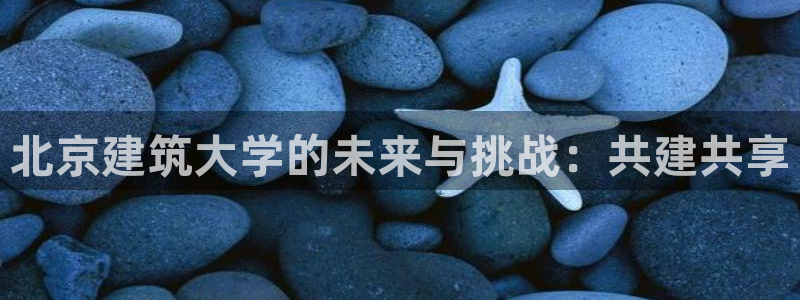 和记电讯香港官网：北京建筑大学的未来与挑战：共建共享