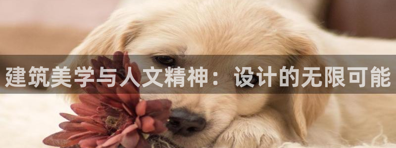 和记娱乐h8官网