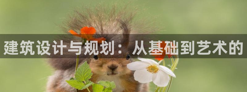 成都和记黄埔地产官网