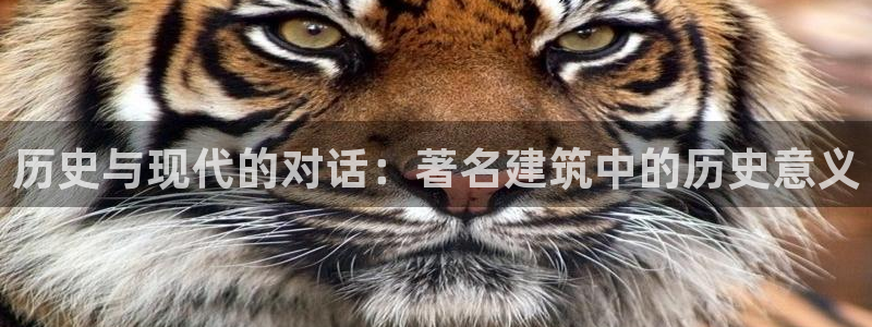 和记怡情官网电话：历史与现代的对话：著名建筑中的历史意义