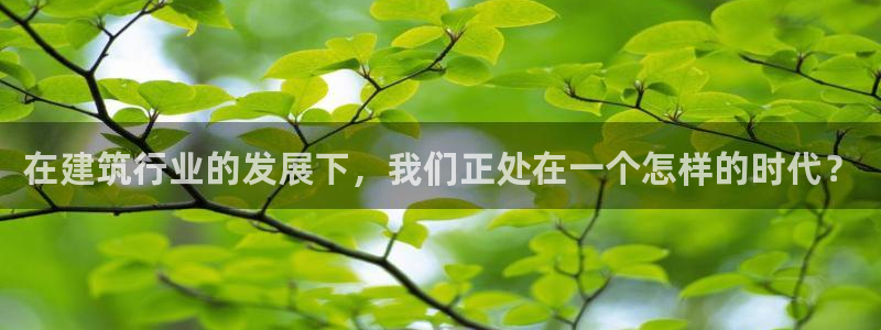 和记娱技精h88285官网