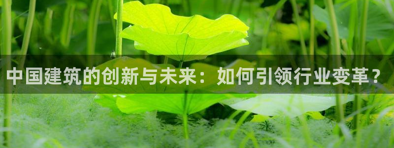 和记娱技精h88285官网