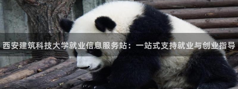 长江和记集团官网